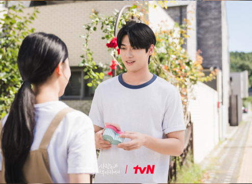 사랑은 외나무다리에서 재방송