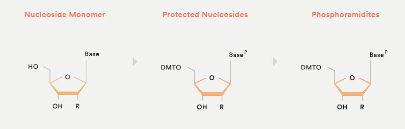 올리고핵산치료제