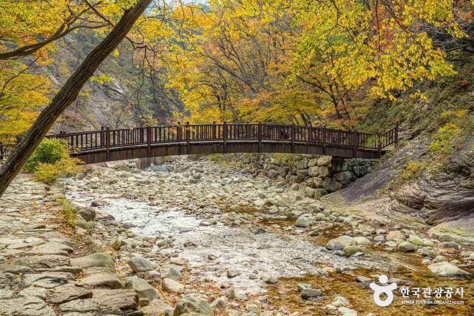 설악산 단풍 오색 주전골 다리와 계곡