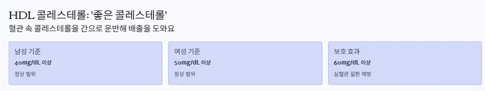 좋은 콜레스테롤