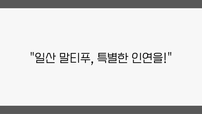 일산말티푸분양 알아봅니다