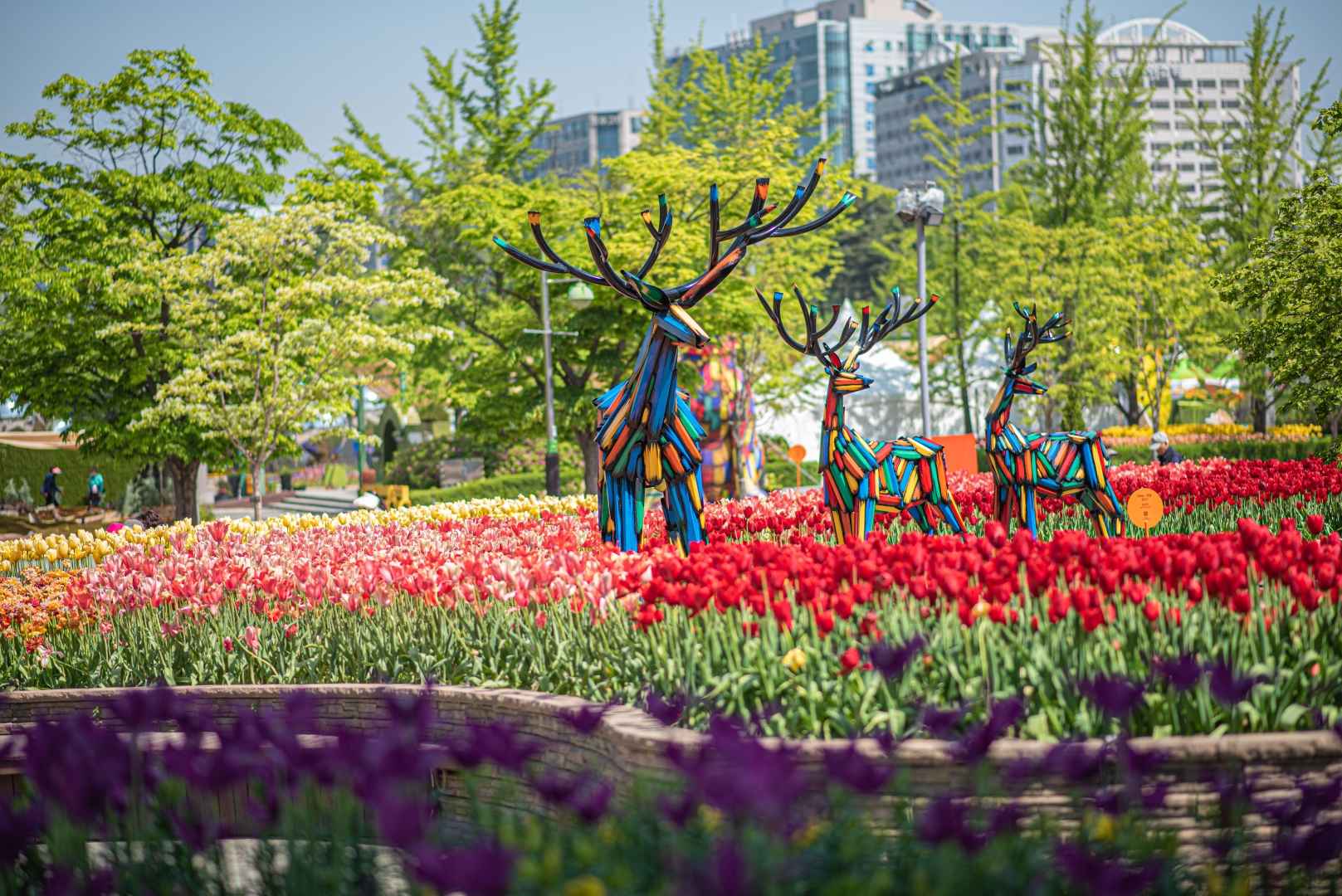 고양국제꽃박람회 사전예매