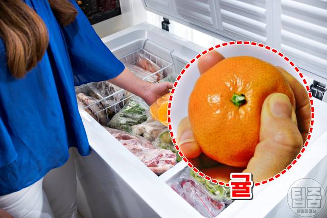 귤 김치냉장고 보관하면 좋은 음식품,팁줌