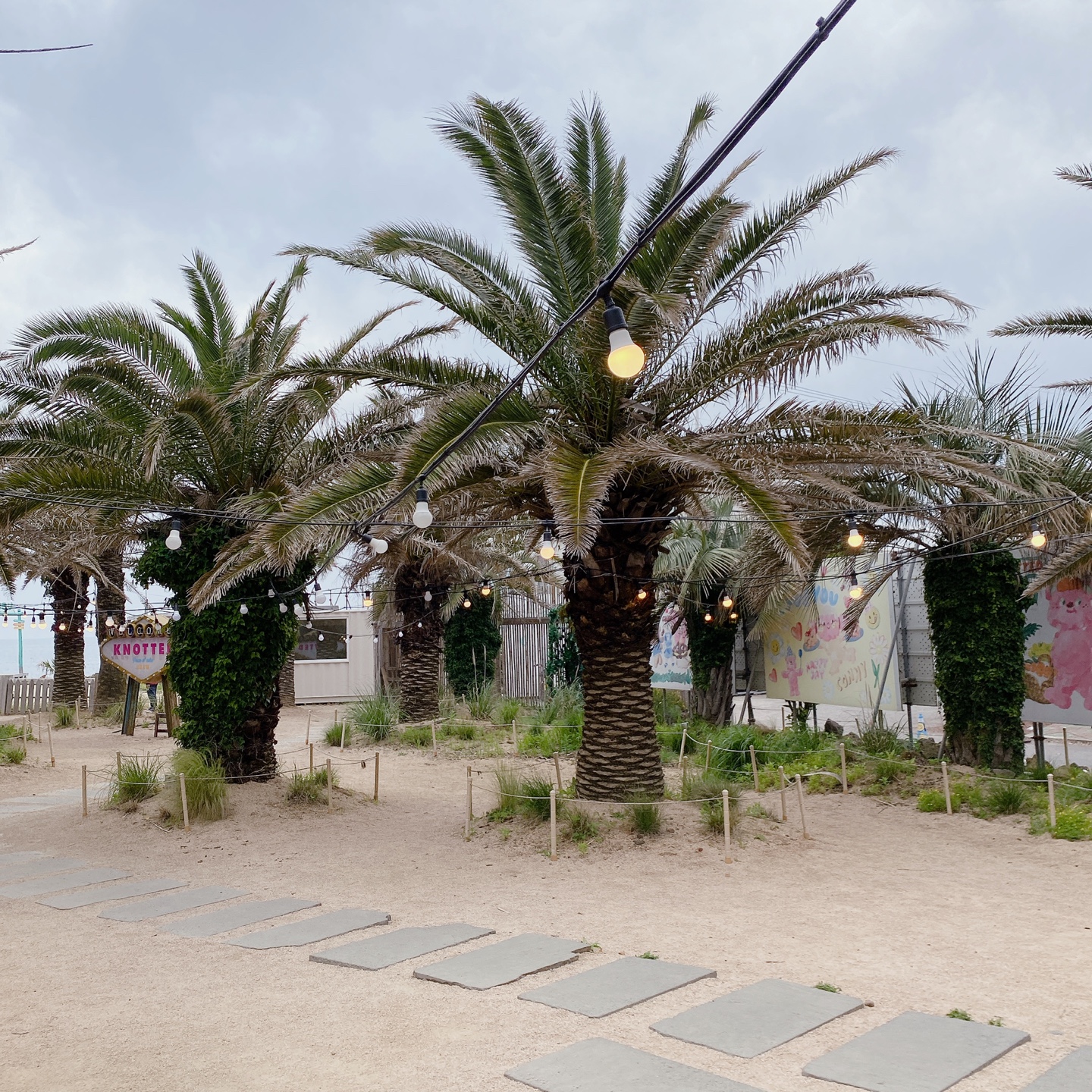 노티드 도넛 제주 애월 핫플레이스 우유크림 도넛 Knotted JEJU