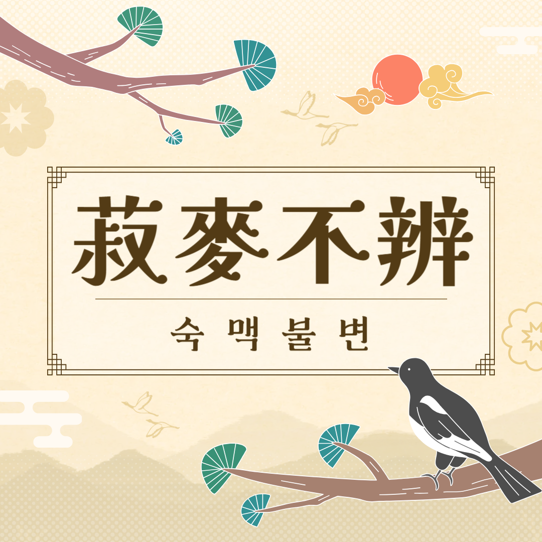 숙맥불변(菽麥不辨) 뜻, 유래, 예문, 반대말, 유의어