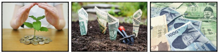 동전과-지폐들-사진