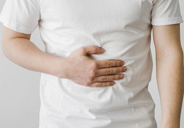 발효효소란 무엇