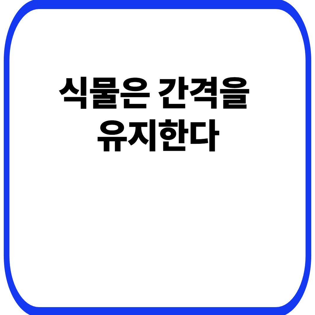 식물 간격 유지 전략에서 시작되는 생존 설계, 붙어 자라지 않는 이유
