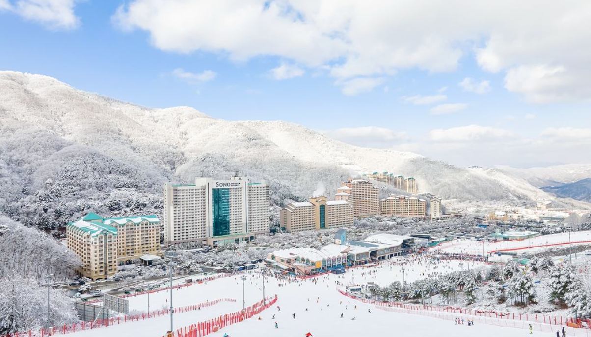 비발디파크 스키장