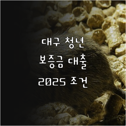 대구시 청년 주택 임차보증금 대출, ..