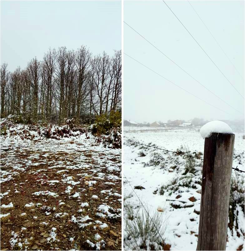 눈내리는-폰세바돈-풍경