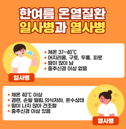 더위먹었을때 타이레놀 약 괜찮을까 온열질환 증상 대처 음식 병원 총정리5