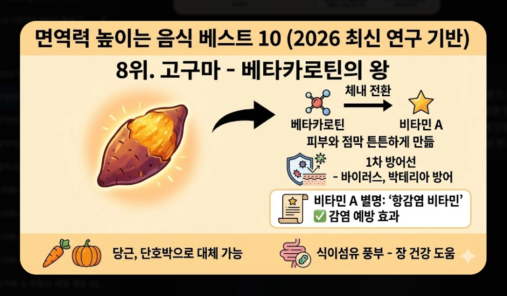 면역력 높이는 음식 베스트 10 [2026년판] 강화 식품 섭취법 및 생활 습관 총정리
