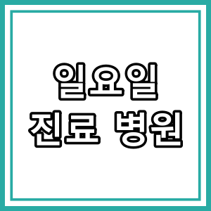 송파구 일요일 진료 하는 동네병원