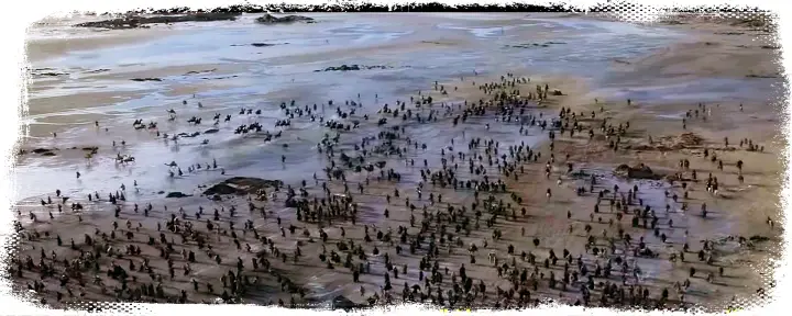 가장 위대한 전도자