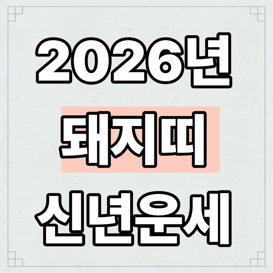 2026년 돼지띠 신년운세 총정리