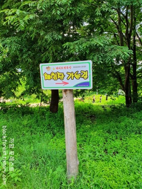 춘천 해피초원목장