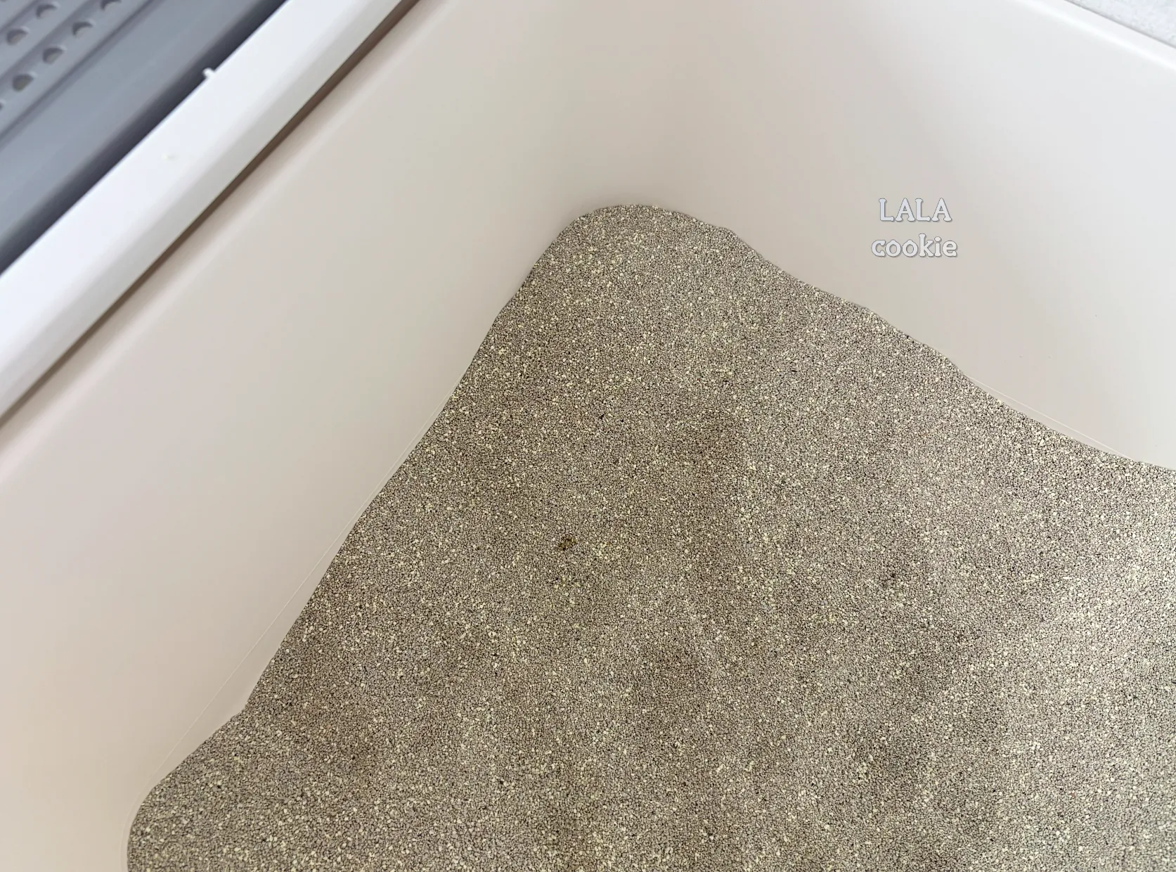 고양이-방광염-치료-후기-화장실-사진