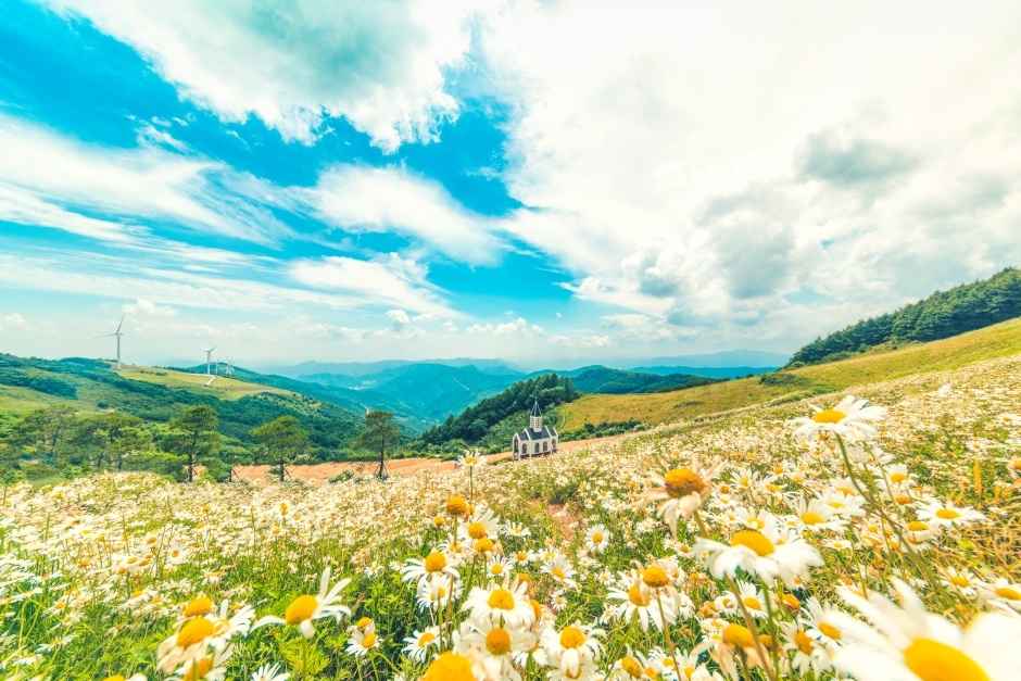 pyeongchang-yukbaekmajigi-travel-guide