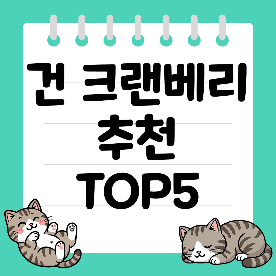 방광염에 좋은 영양 가득한 건 크랜베리 추천 순위 TOP5