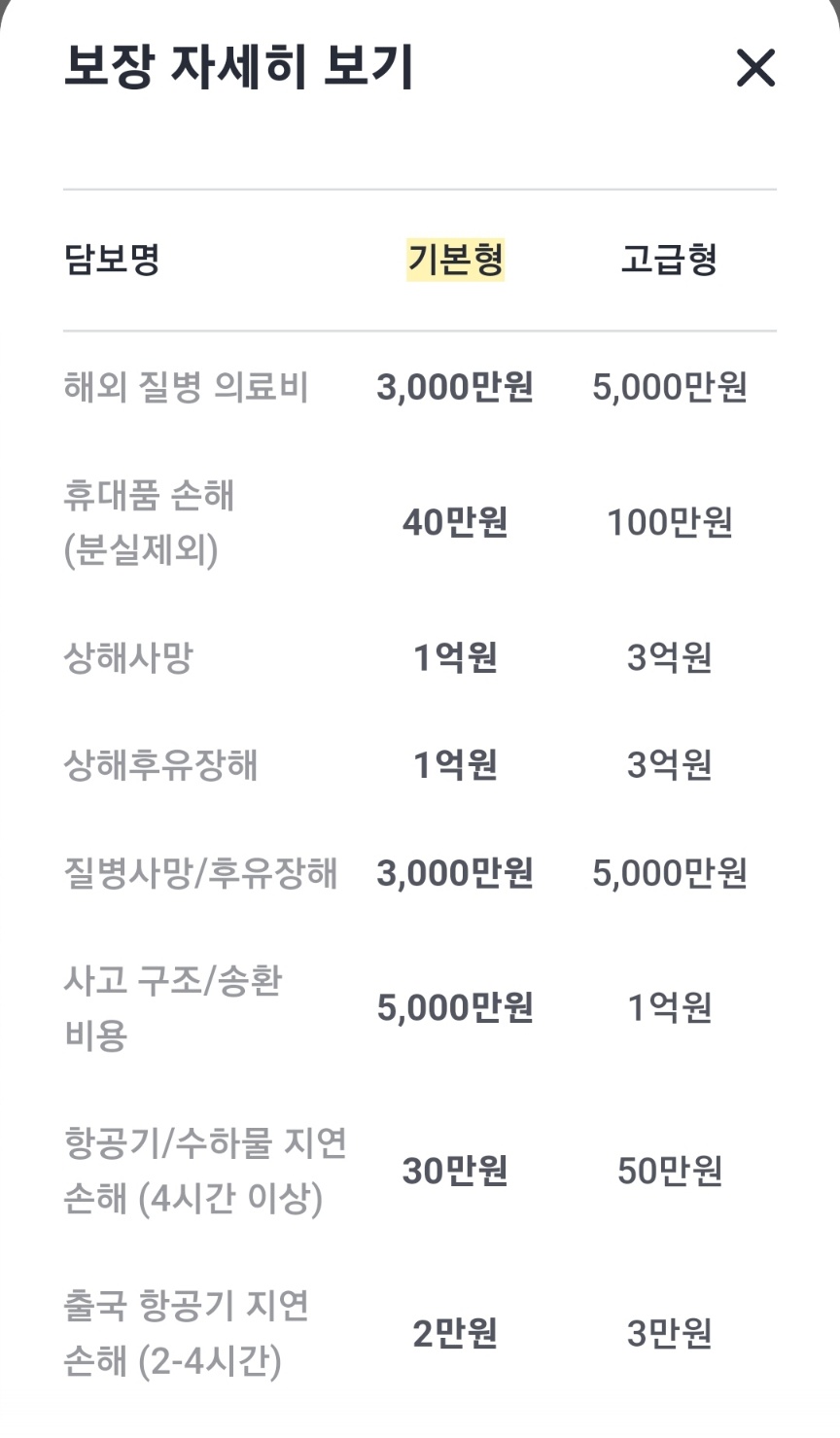 카카오페이 해외여행자보험 보장내용