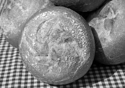 볼레제, 한 세기가 넘게 이어져온 전통을 기반으로 한 변화