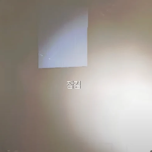 리썰컴퍼니 증기