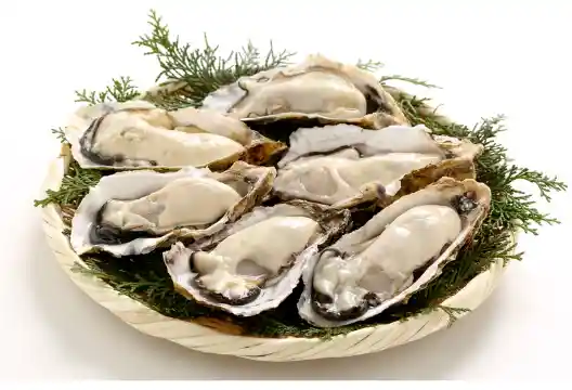 철분이 많은 음식 Best 10