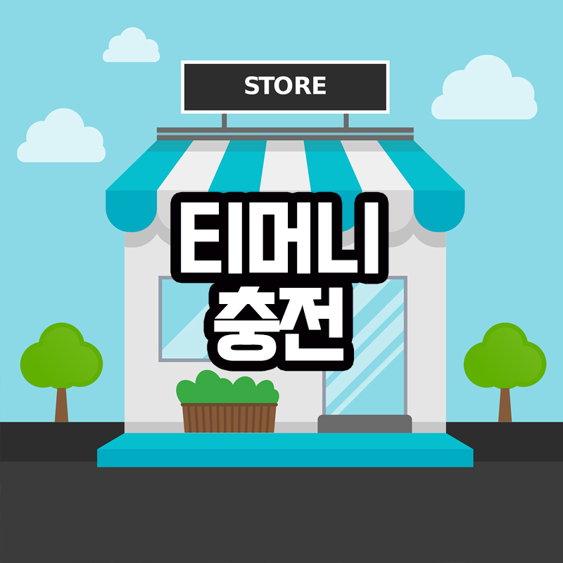 티머니충전