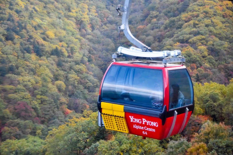 평창 가볼만한곳