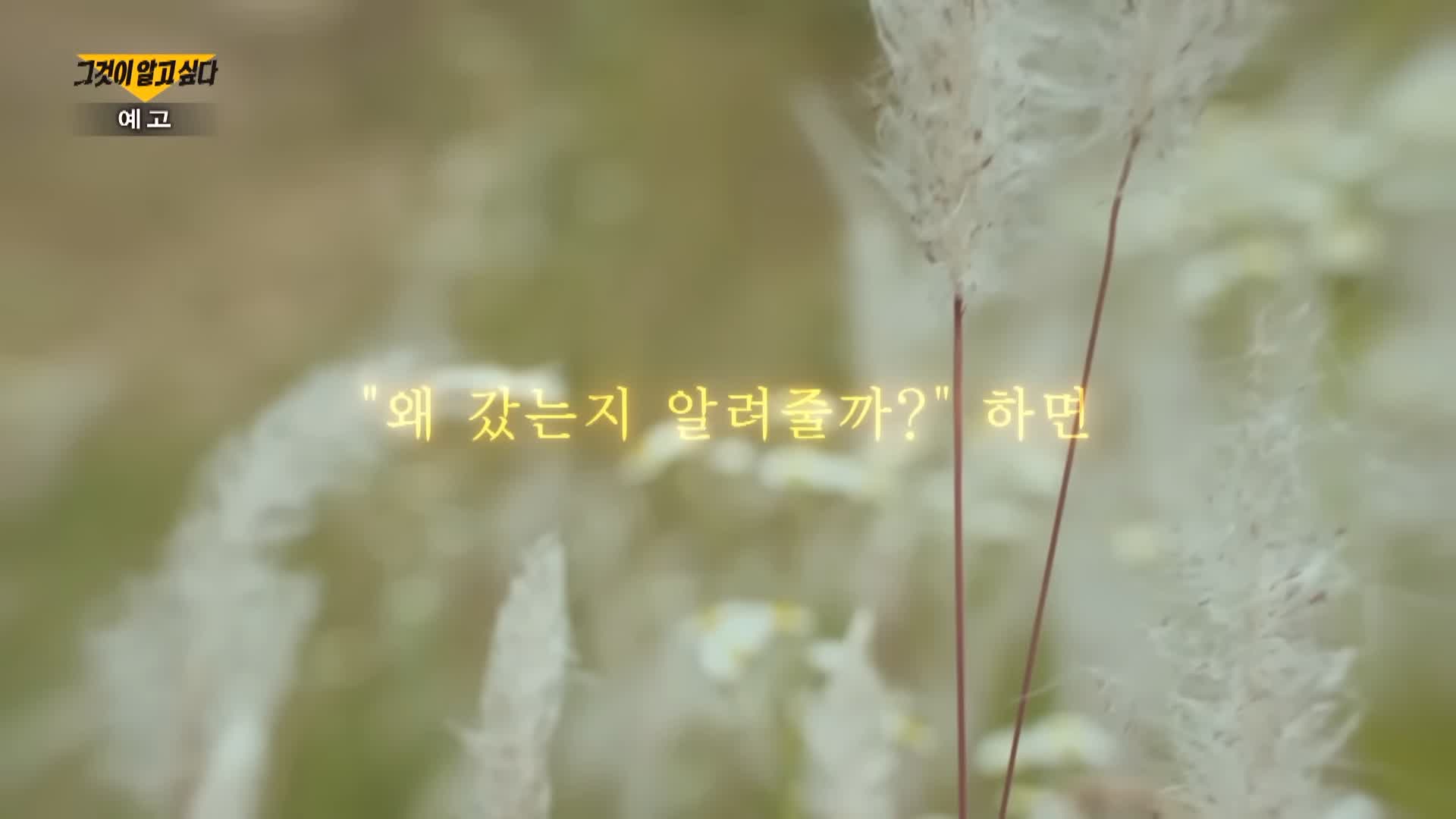 그알 그것이알고싶다 명백한 살인범죄 자식 목숨 빼앗는 부모 완도 일가족 실종 루나코인 부모 자녀 동반자살 사건 1317회