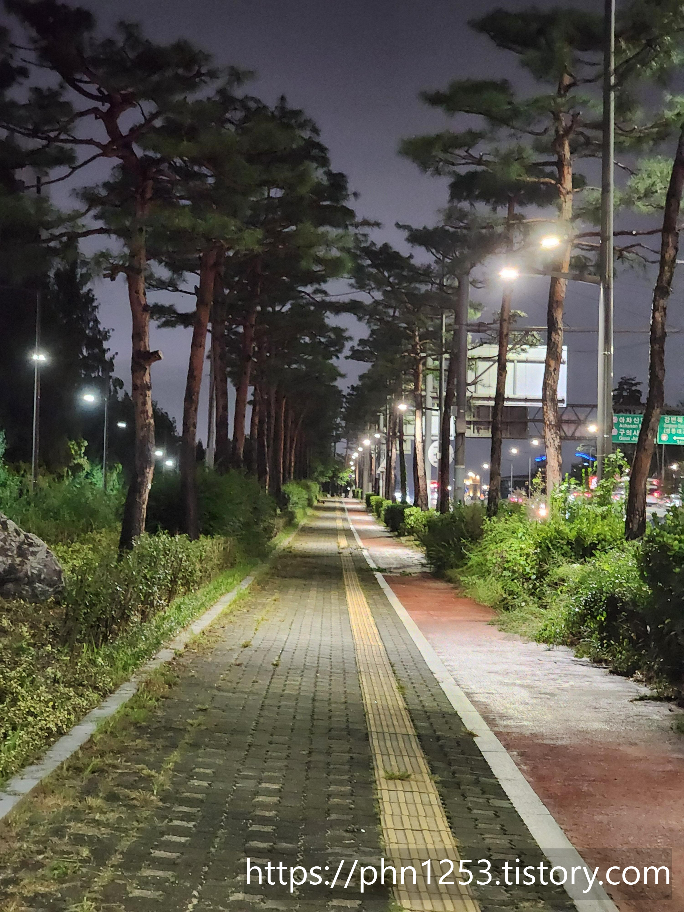 Alt 속성 문제 해결 설명 이미지