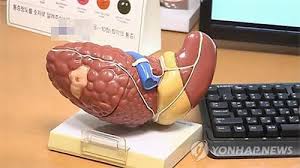 지방간 없애는 방법