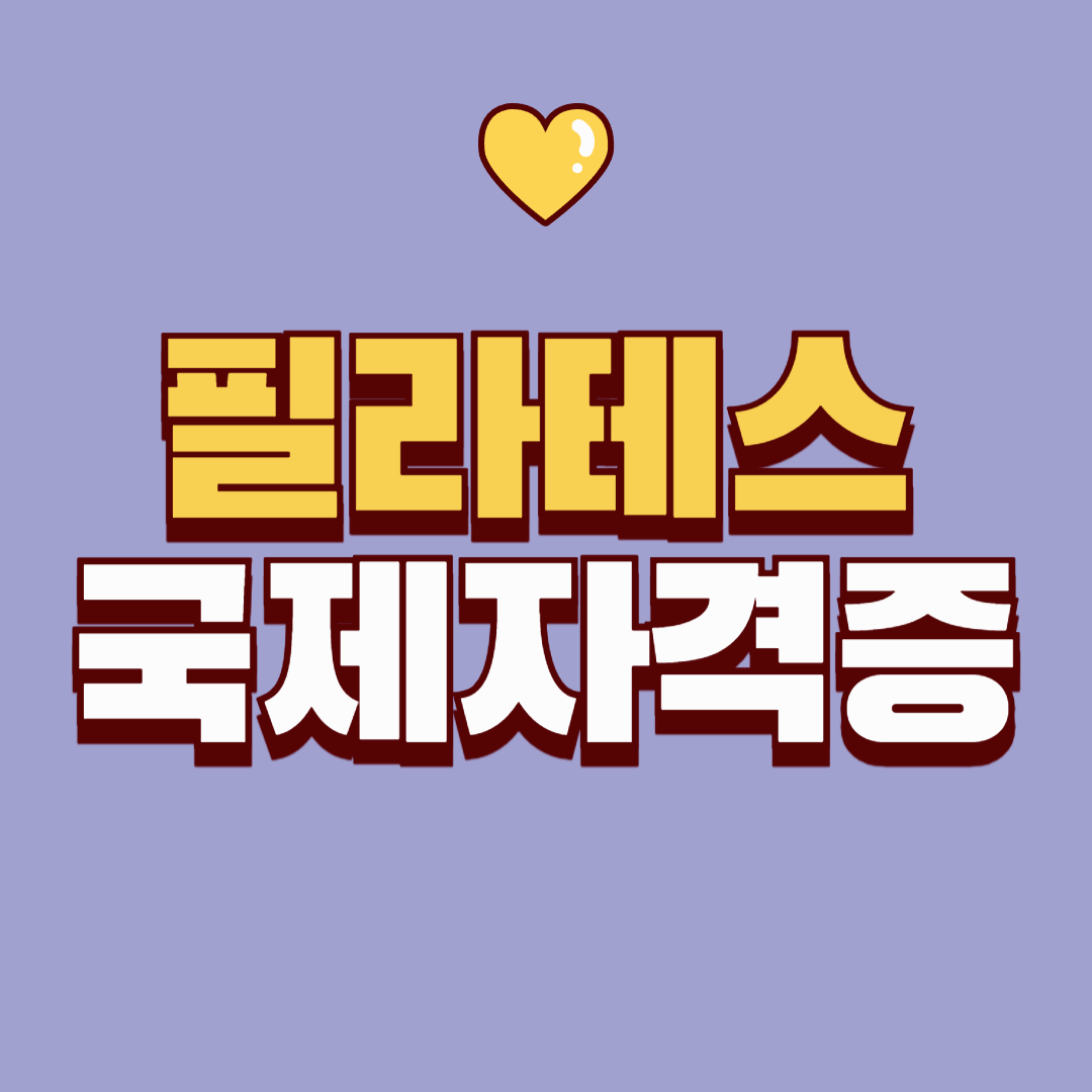 필라테스 국제자격증 종류 총정리: 미국, 유럽 총망라 자격증별 특징과 선택 팁까지 한눈에!