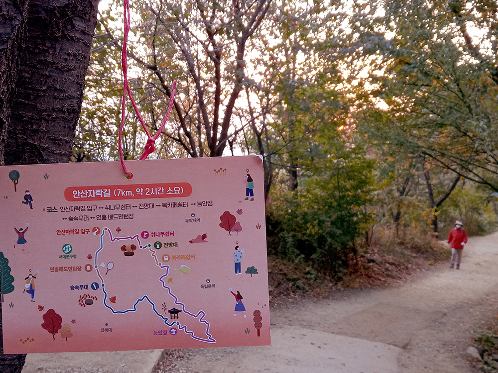 서대문구 안산자락길 나혼자걷기 챌린지