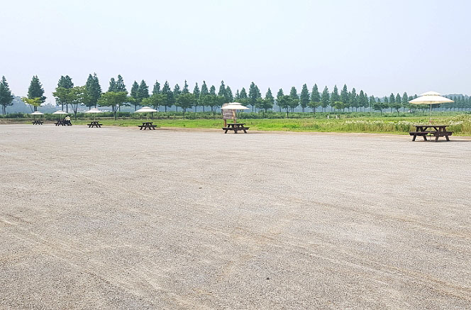 대부도파크골프장 (대부바다향기테마파크 페스티벌파크,
메타세콰이어길 파크골프장)