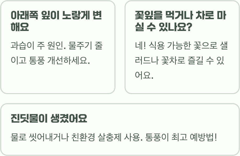 금잔화 키우는 법과 관리 요령&amp;#44; 초보자도 성공하는 물주기&middot;토양&middot;햇빛 조건