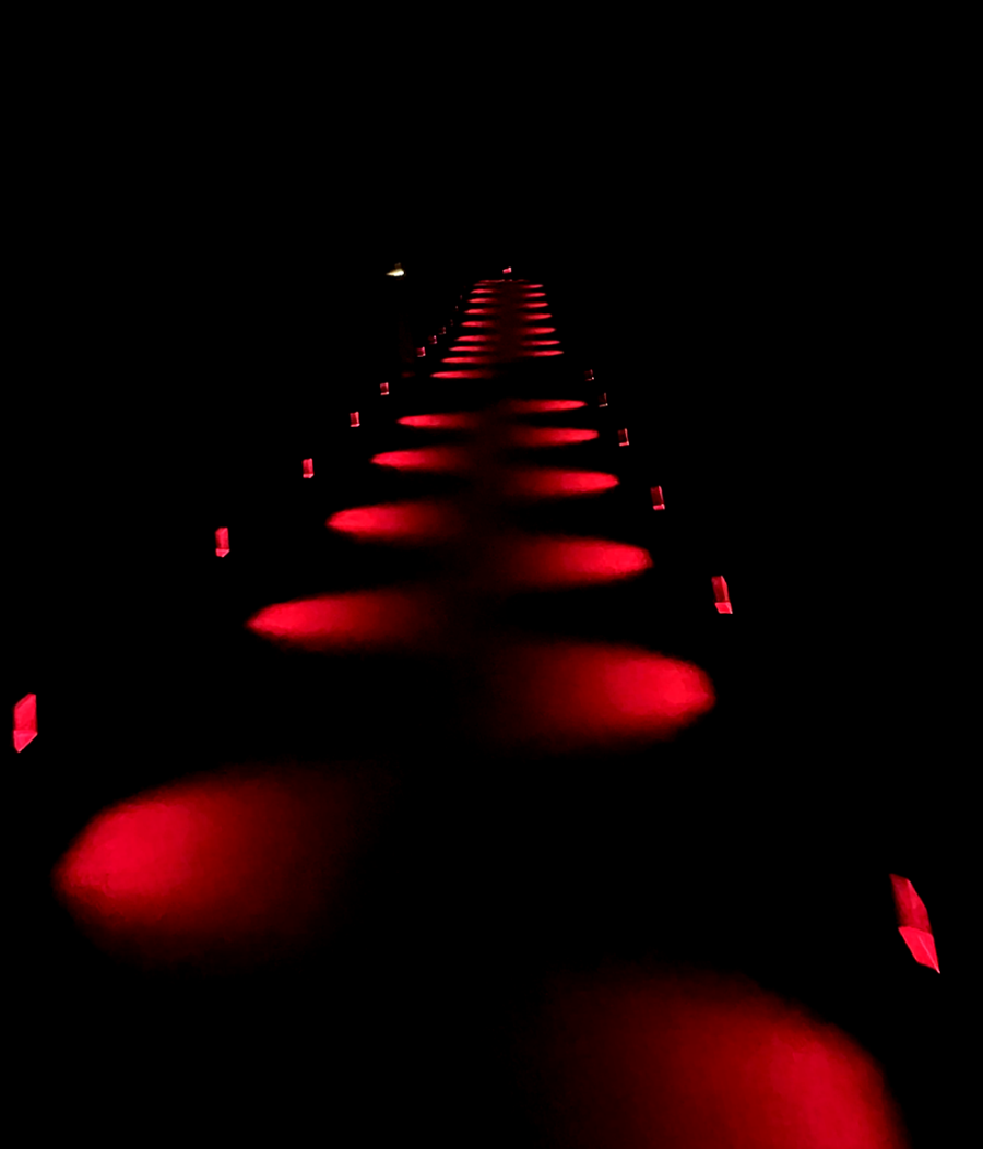 일본 도쿄 팀랩 플래닛 여행 내부진입- 소프트 블랙홀