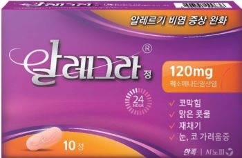비염약