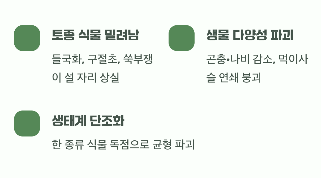 토종 식물들의 자리를 빼앗는 침략자