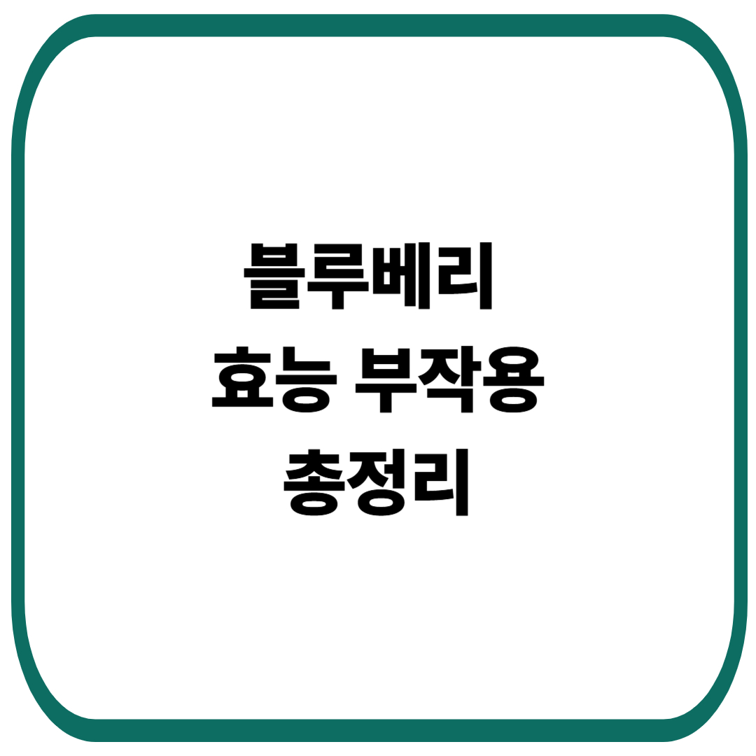 블루베리 효능 총정리 : 다이어트, 칼로리, 변비, 시력 개선부터 부작용까지