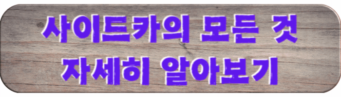 사이드카의-모든-것-자세히-알아보기
