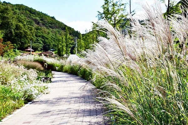 파주 가볼만한곳 