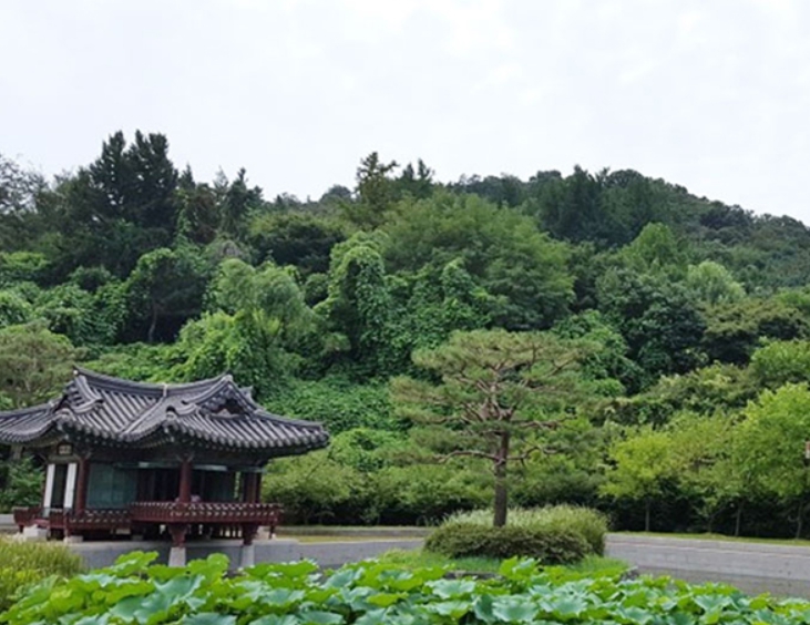 인천/명품/단풍/명소