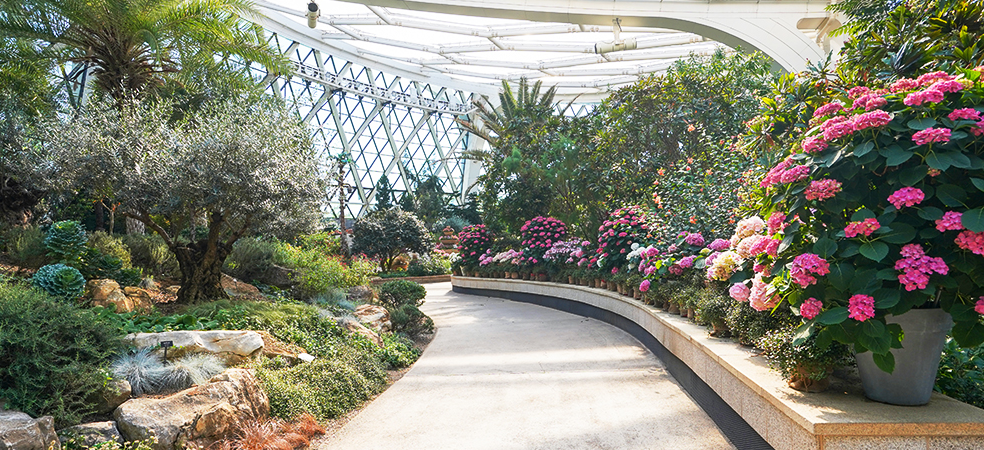 서울식물원 온실