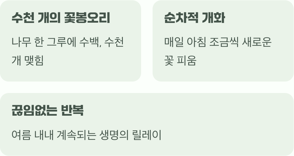 ‘무궁(無窮)’함의 진짜 의미