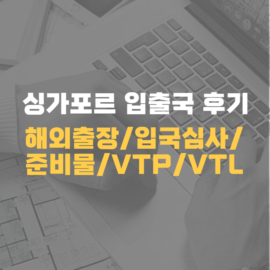 싱가포르 입출국 후기-해외출장/입국심사/준비물/VTP/VTL