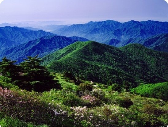 지리산의 사계