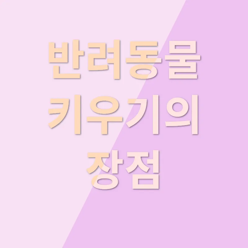 반려견 장례식장_2_subsection