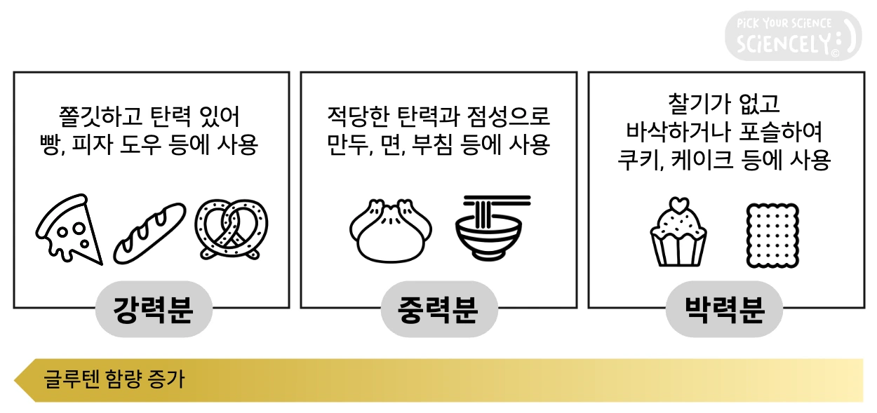 강력분, 중력분, 박력분, 밀가루 글루텐 함량, 밀가루 차이, 밀가루 용도, 식감